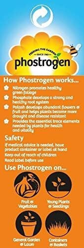 Phostrogen All Purpose Plant Food, 40 Can